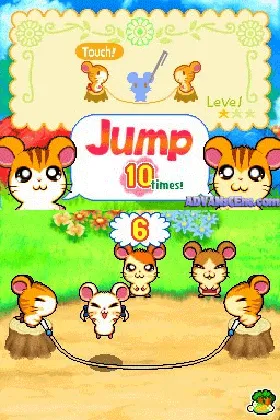 Hi! Hamtaro - Ham-Ham Challenge (Europe) (En,Fr,De,Es,It) screen shot game playing